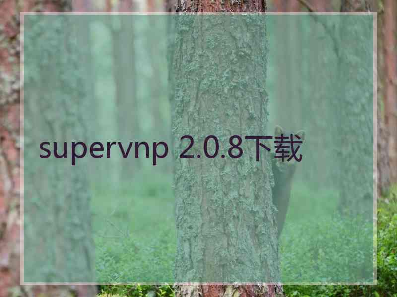 supervnp 2.0.8下载