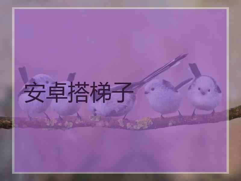 安卓搭梯子