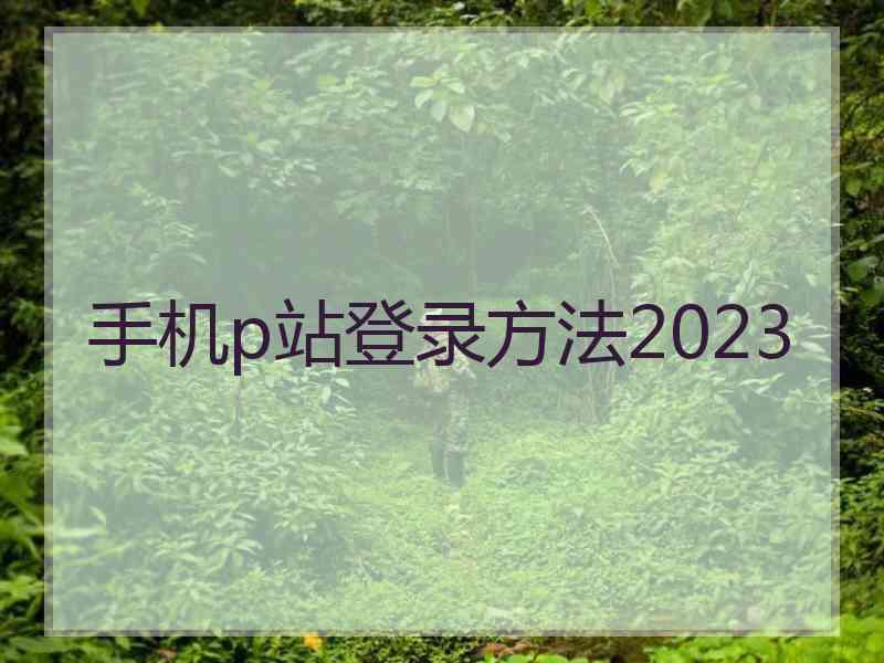 手机p站登录方法2023