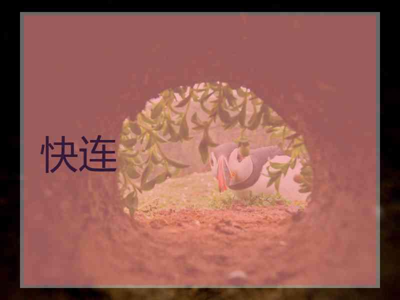 快连