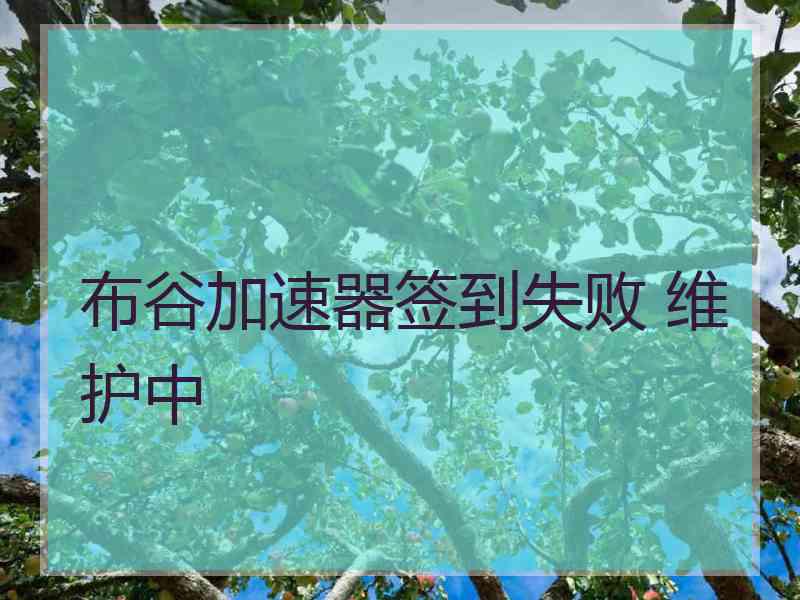 布谷加速器签到失败 维护中