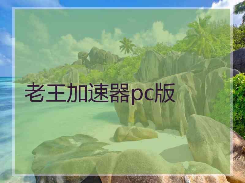 老王加速器pc版