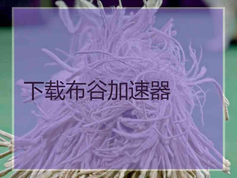 下载布谷加速器