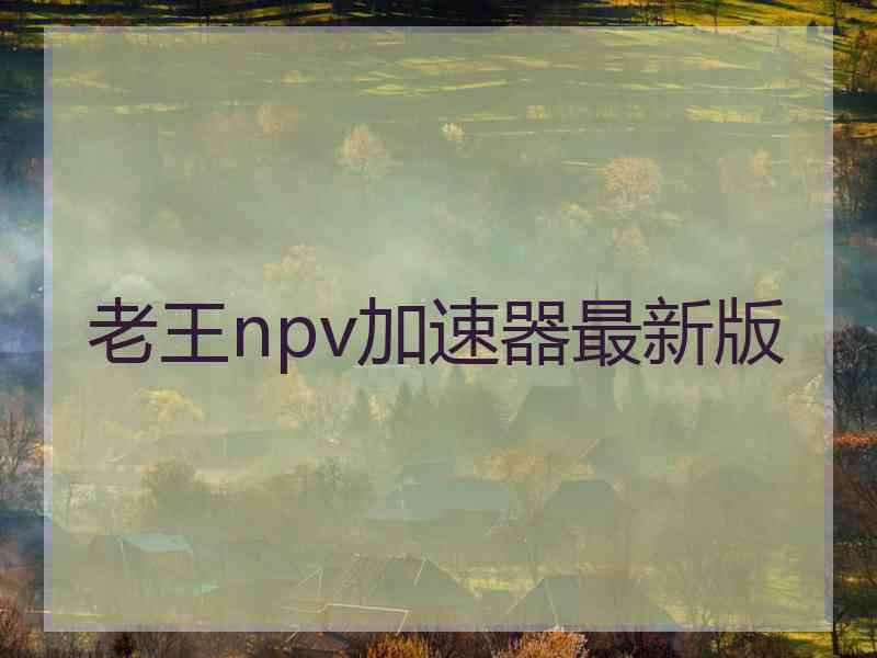 老王npv加速器最新版
