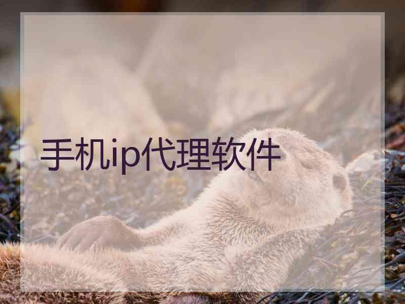手机ip代理软件