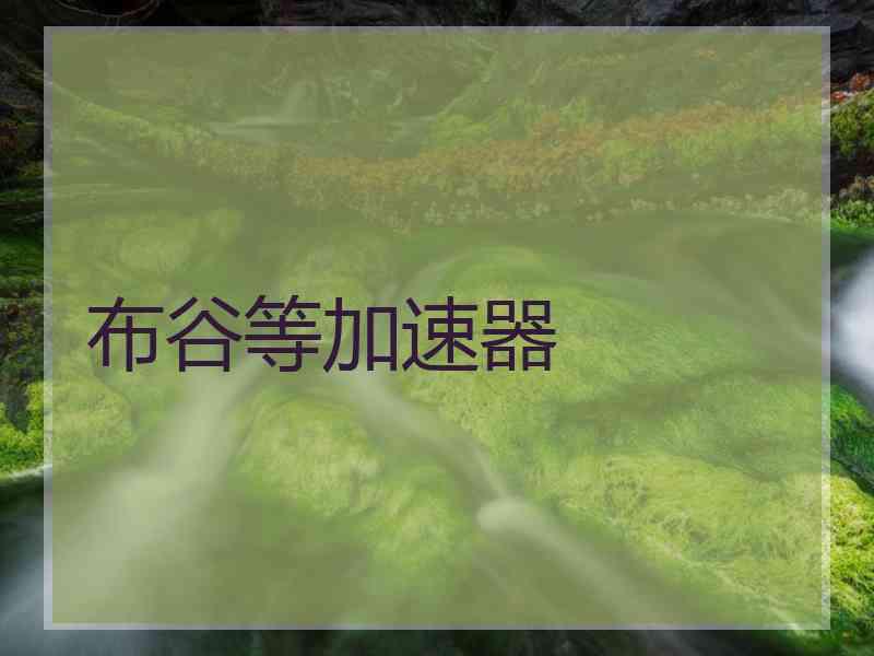 布谷等加速器