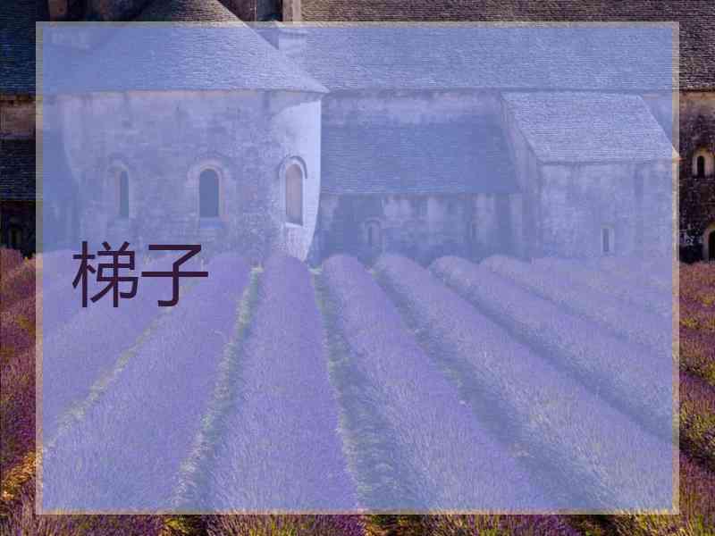 梯子