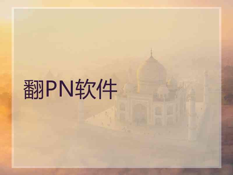 翻PN软件