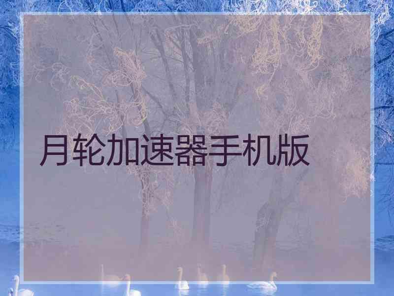 月轮加速器手机版