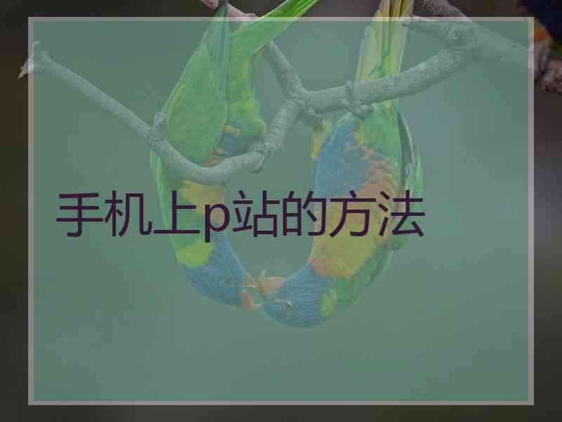 手机上p站的方法