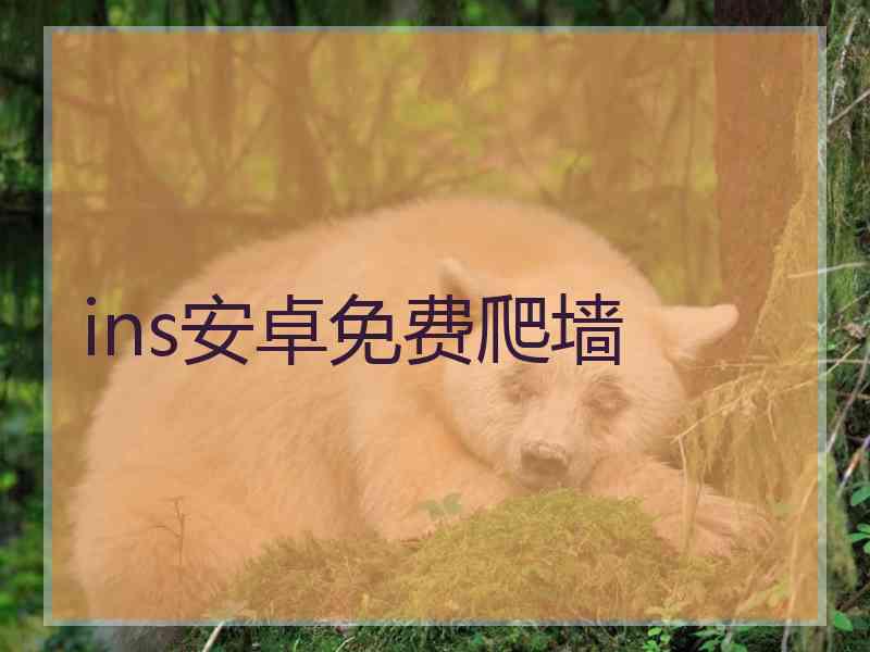 ins安卓免费爬墙
