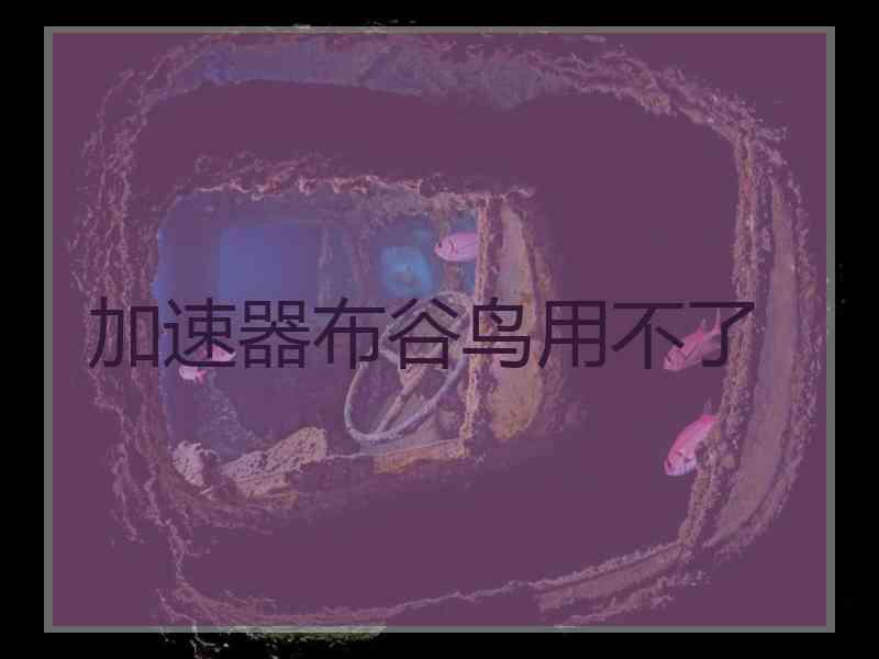 加速器布谷鸟用不了