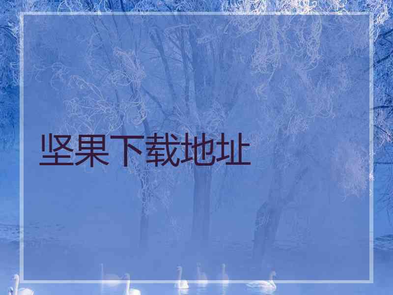 坚果下载地址
