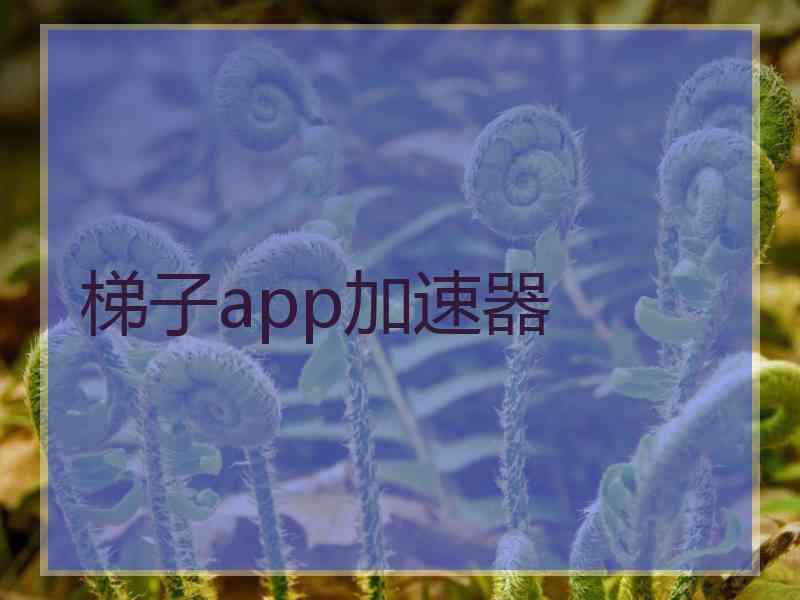 梯子app加速器