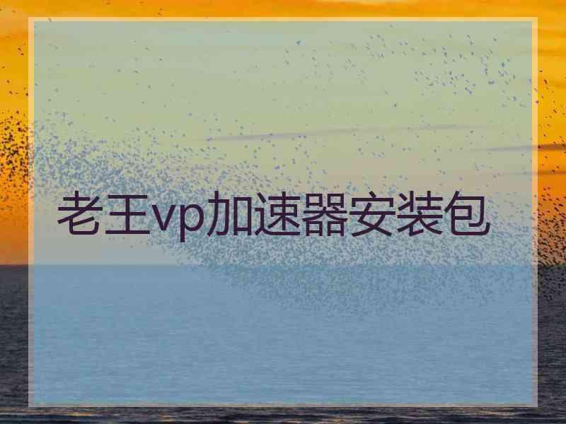 老王vp加速器安装包