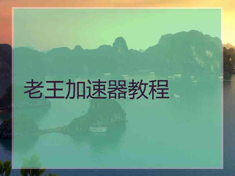 老王加速器教程