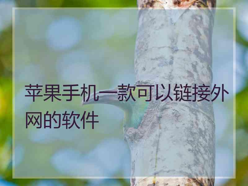 苹果手机一款可以链接外网的软件