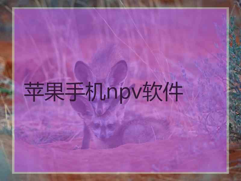 苹果手机npv软件