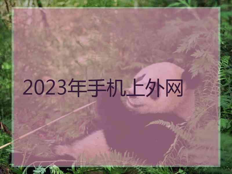 2023年手机上外网