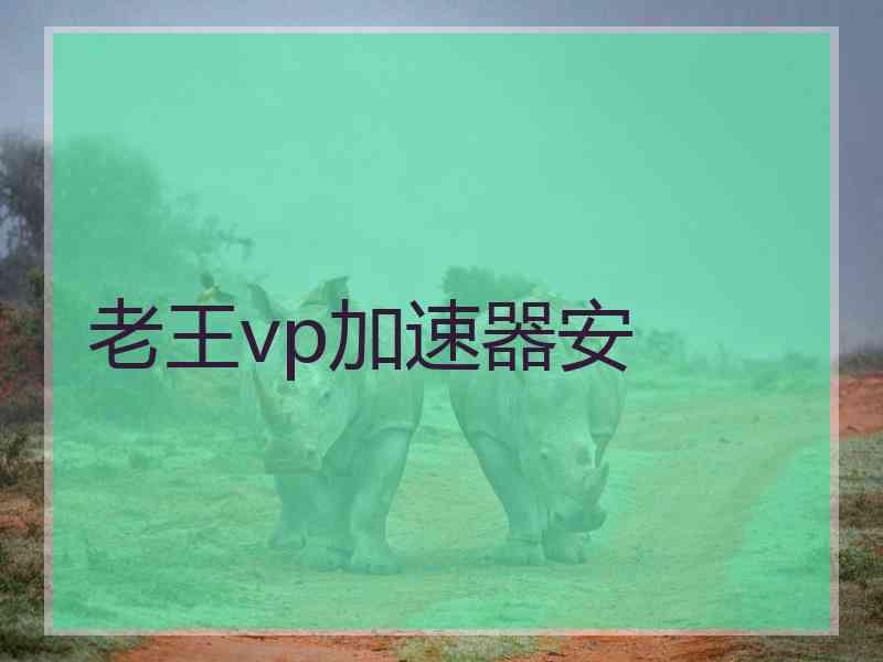 老王vp加速器安