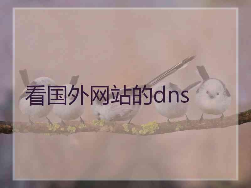 看国外网站的dns