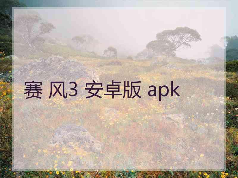 赛 风3 安卓版 apk