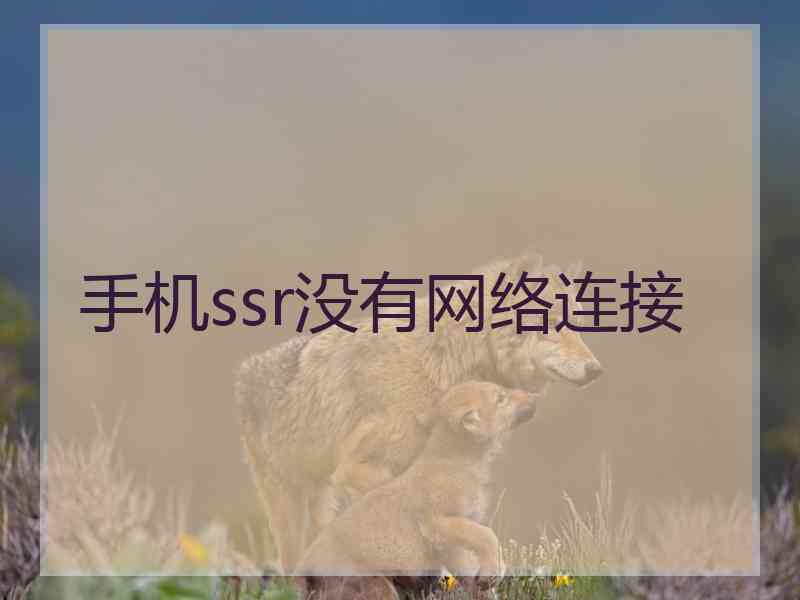 手机ssr没有网络连接