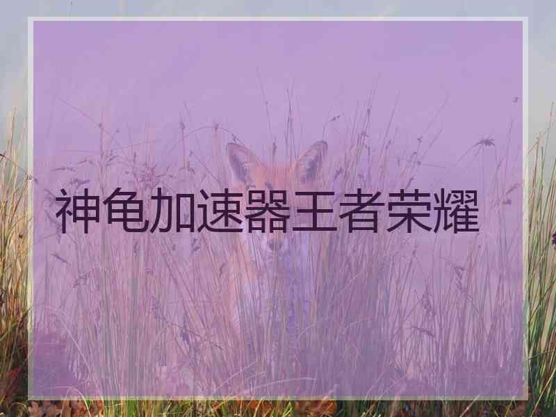神龟加速器王者荣耀