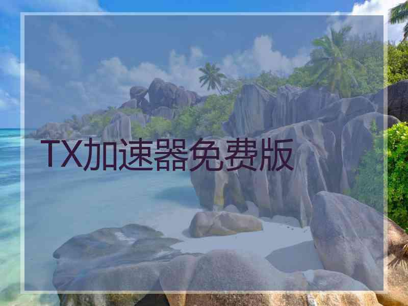 TX加速器免费版