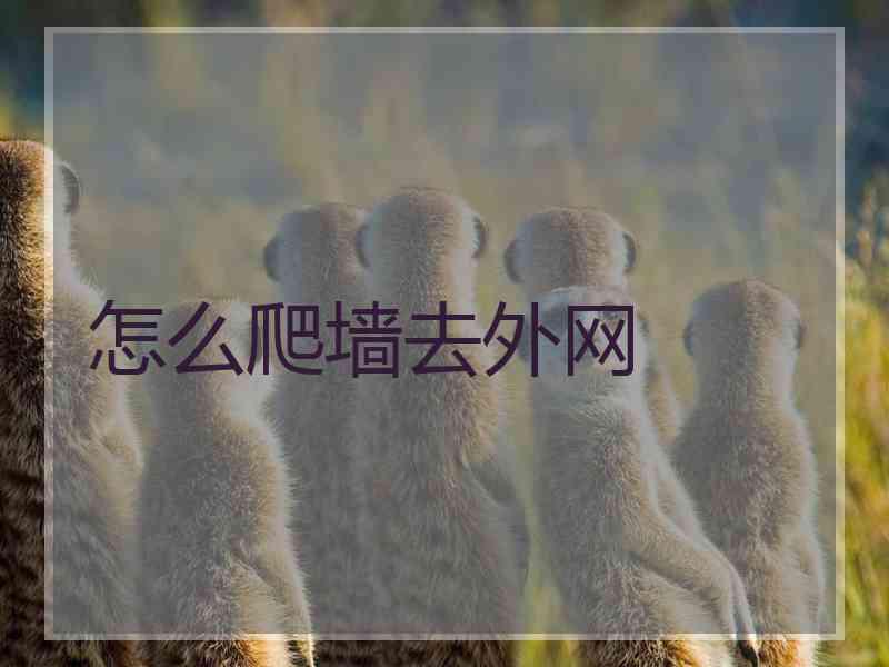 怎么爬墙去外网