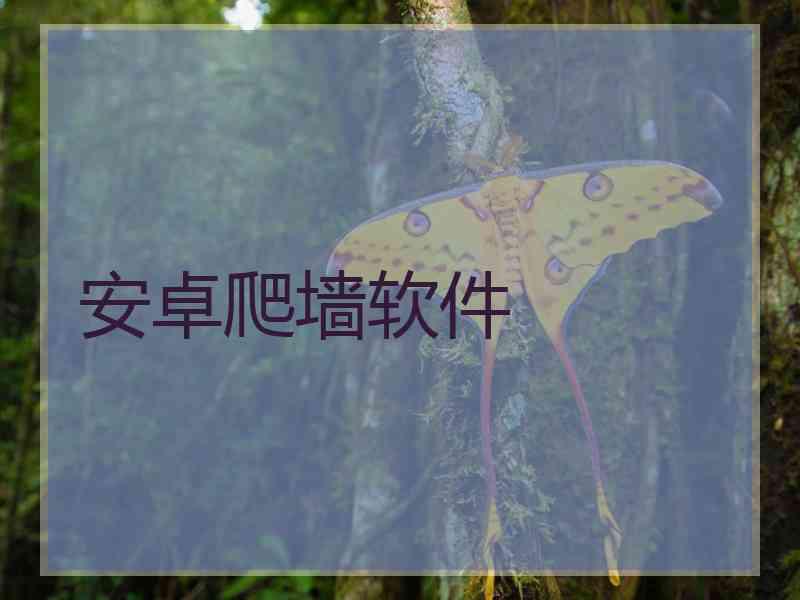 安卓爬墙软件