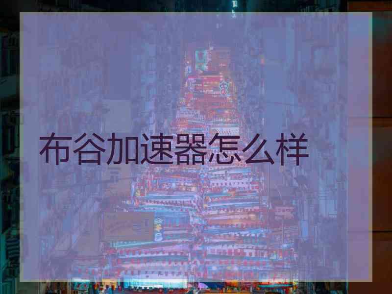 布谷加速器怎么样