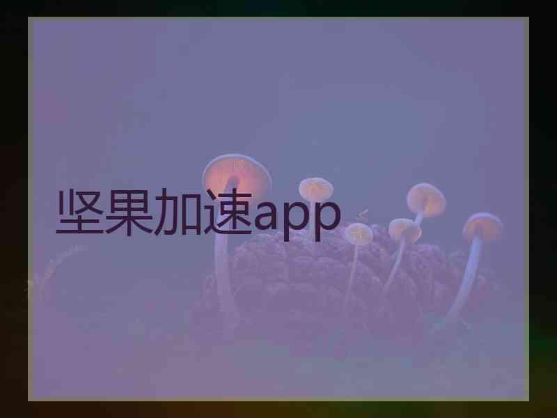 坚果加速app