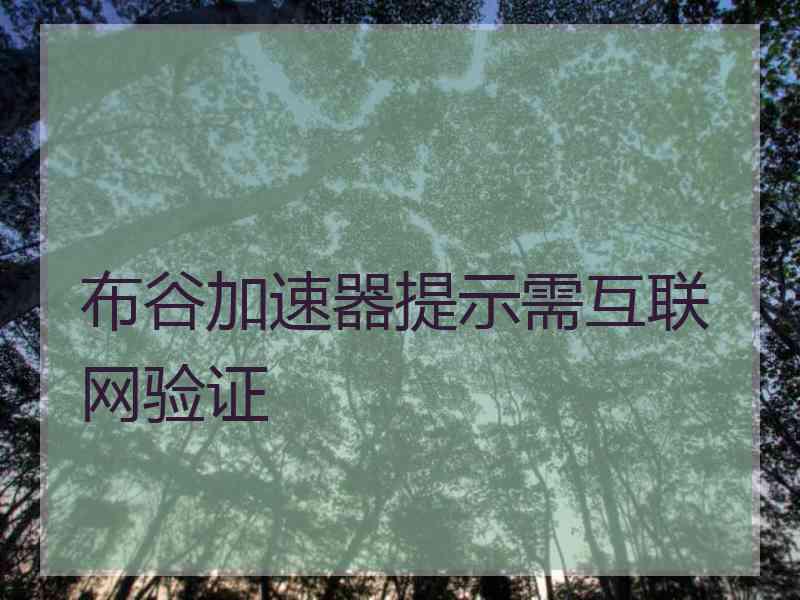 布谷加速器提示需互联网验证