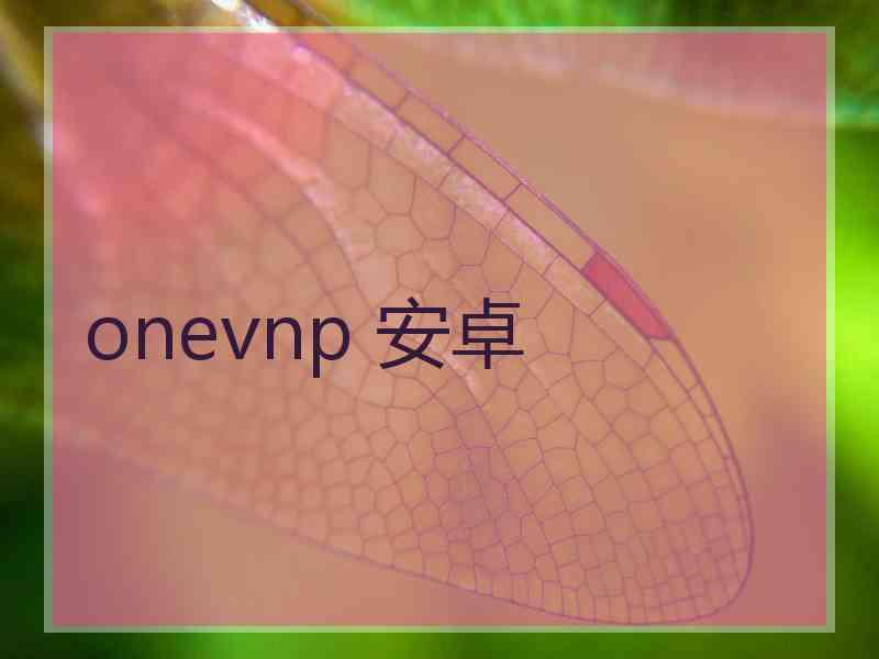 onevnp 安卓