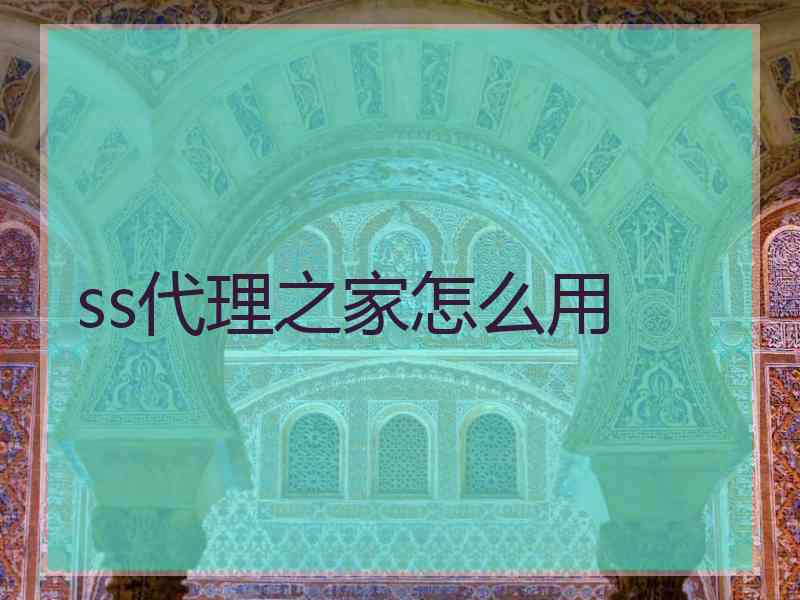 ss代理之家怎么用