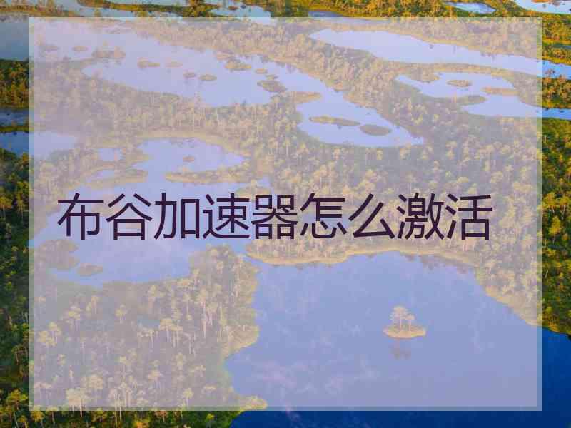 布谷加速器怎么激活
