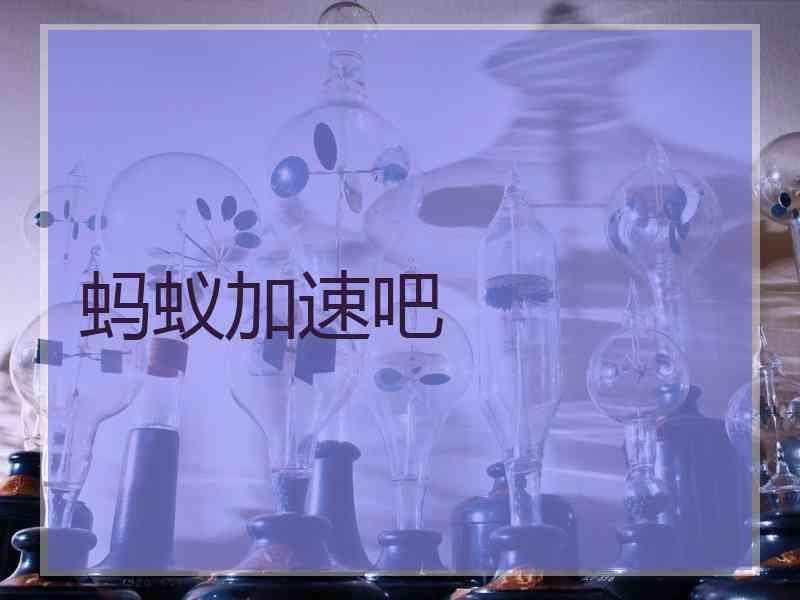 蚂蚁加速吧