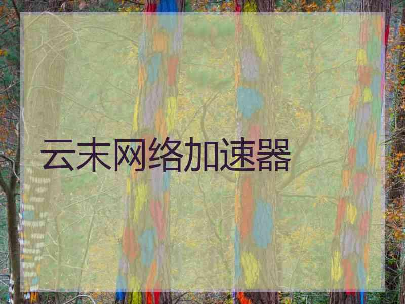 云末网络加速器