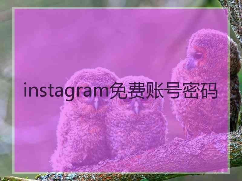 instagram免费账号密码