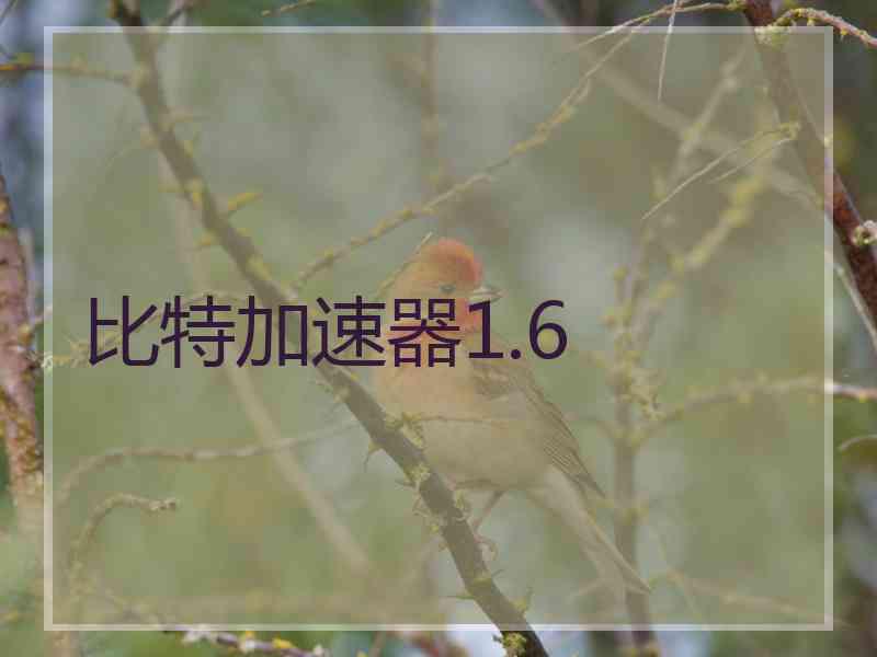 比特加速器1.6