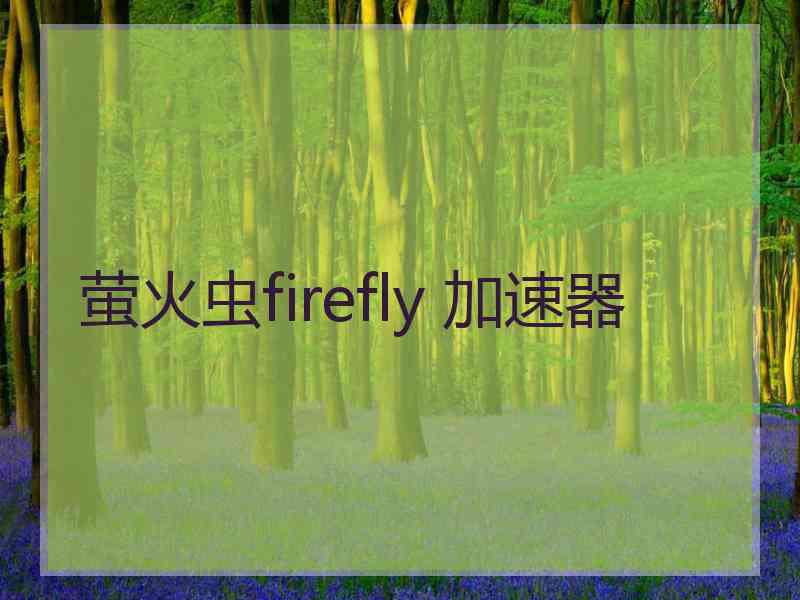 萤火虫firefly 加速器
