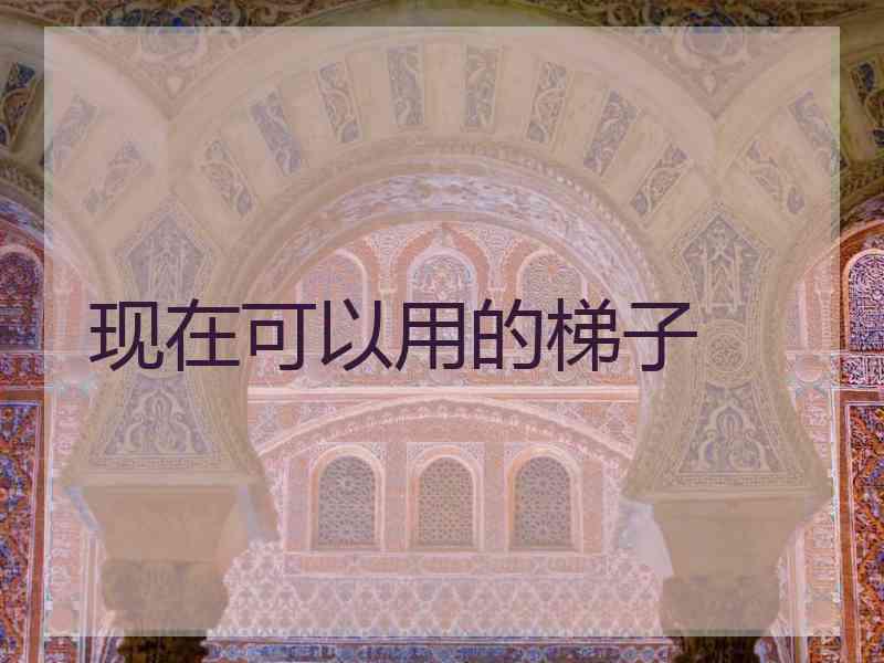 现在可以用的梯子