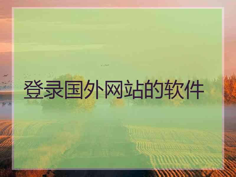 登录国外网站的软件