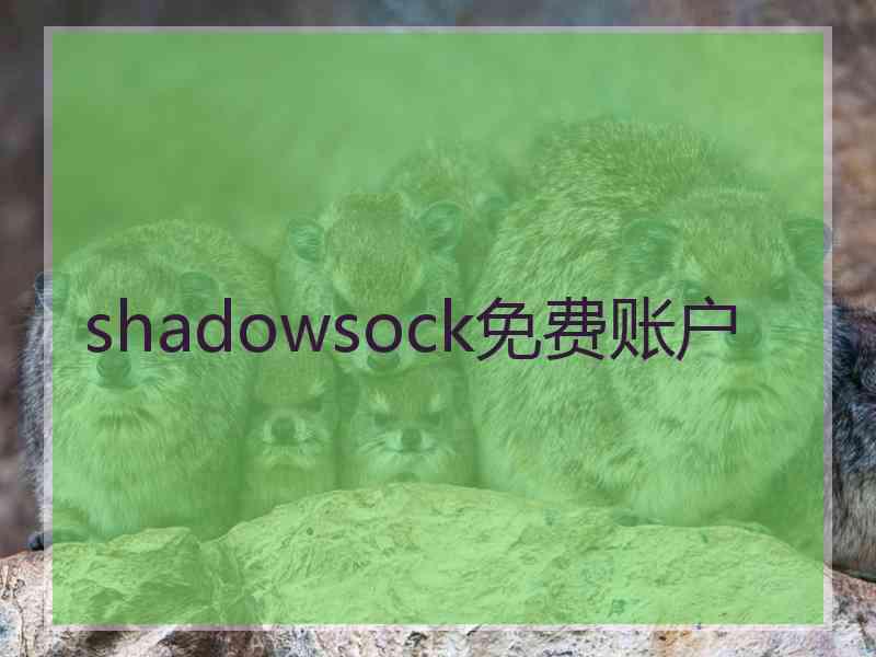 shadowsock免费账户