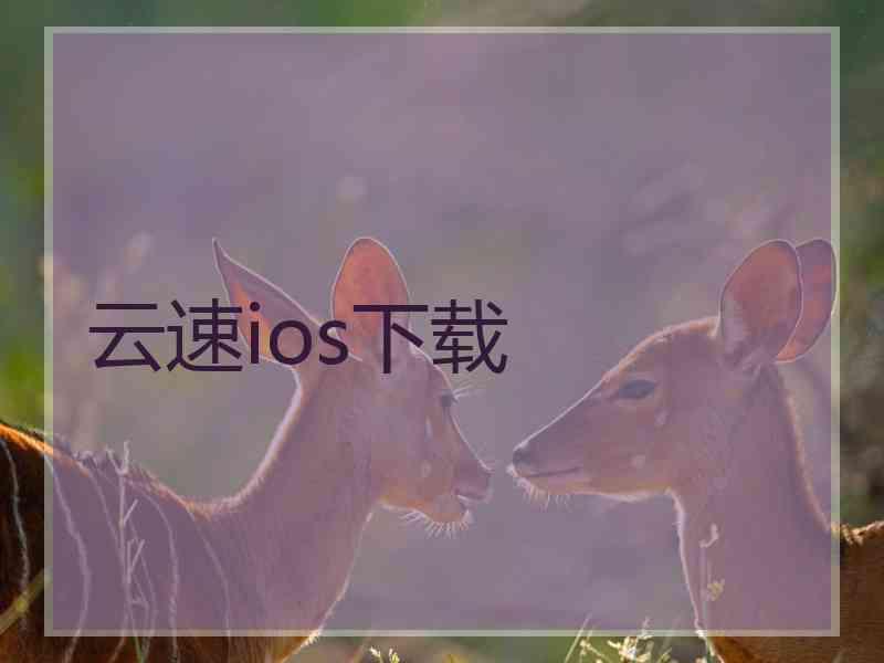 云速ios下载