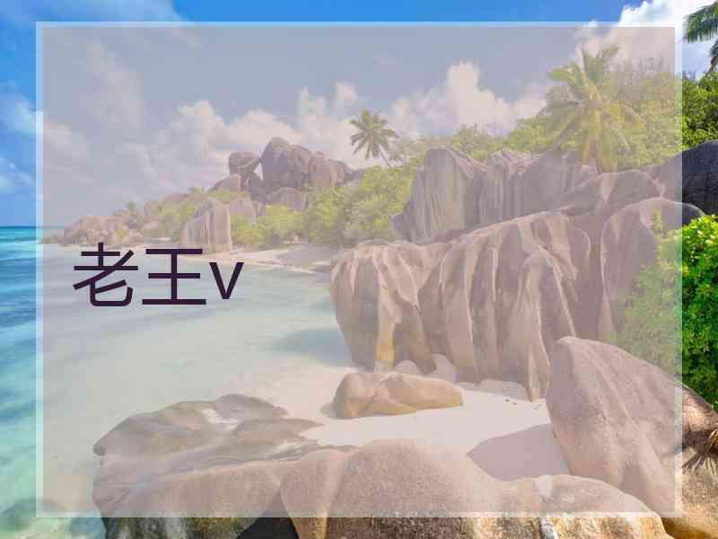 老王v