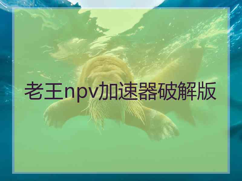 老王npv加速器破解版