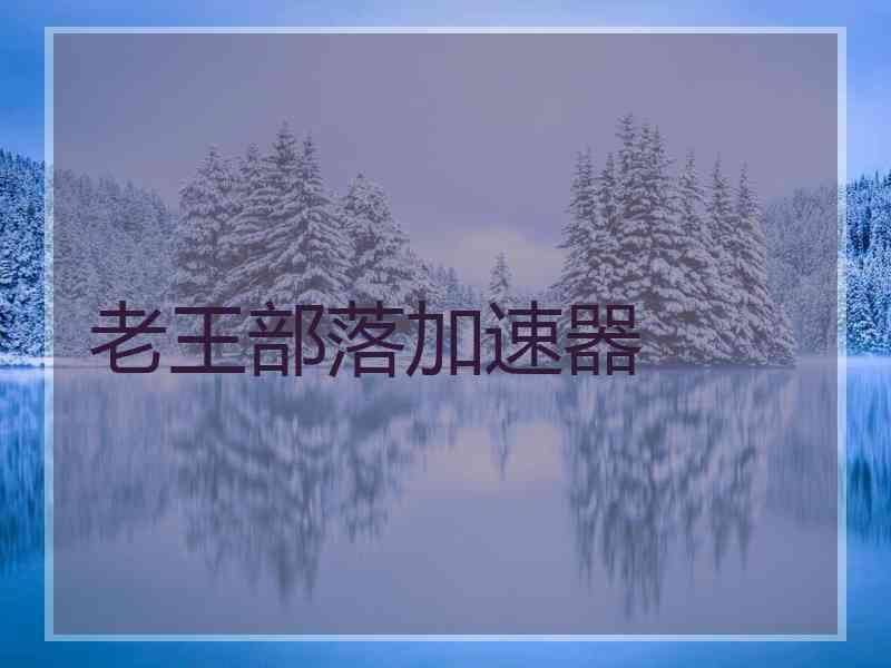 老王部落加速器