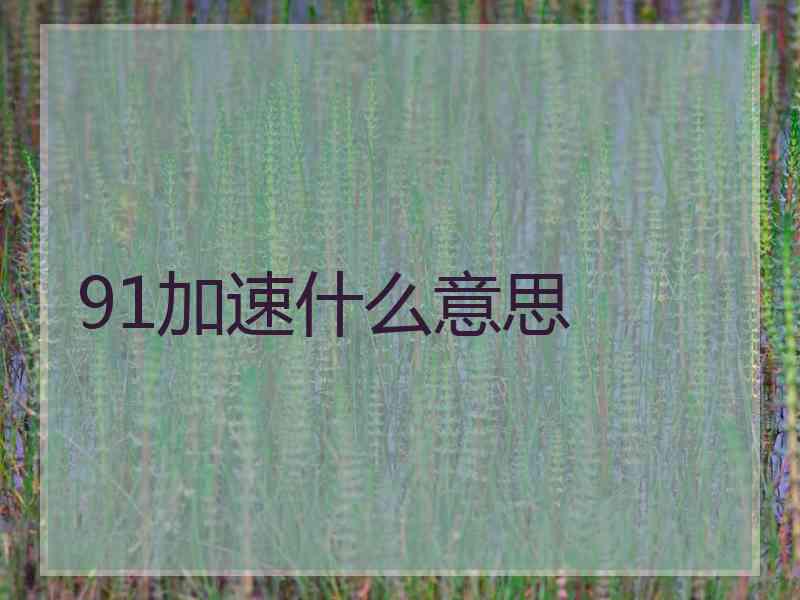 91加速什么意思